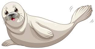 foca